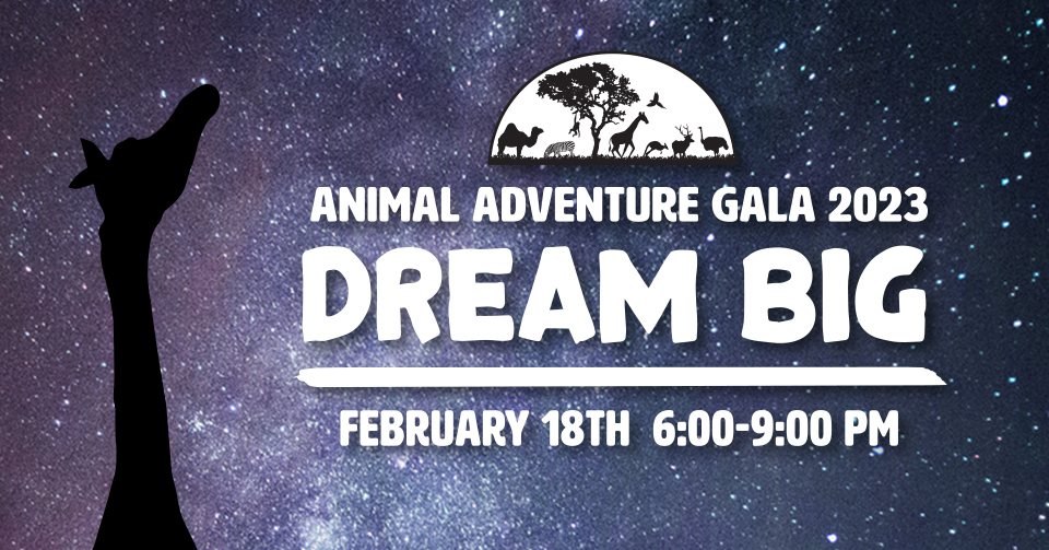 Animal Adventure Park
