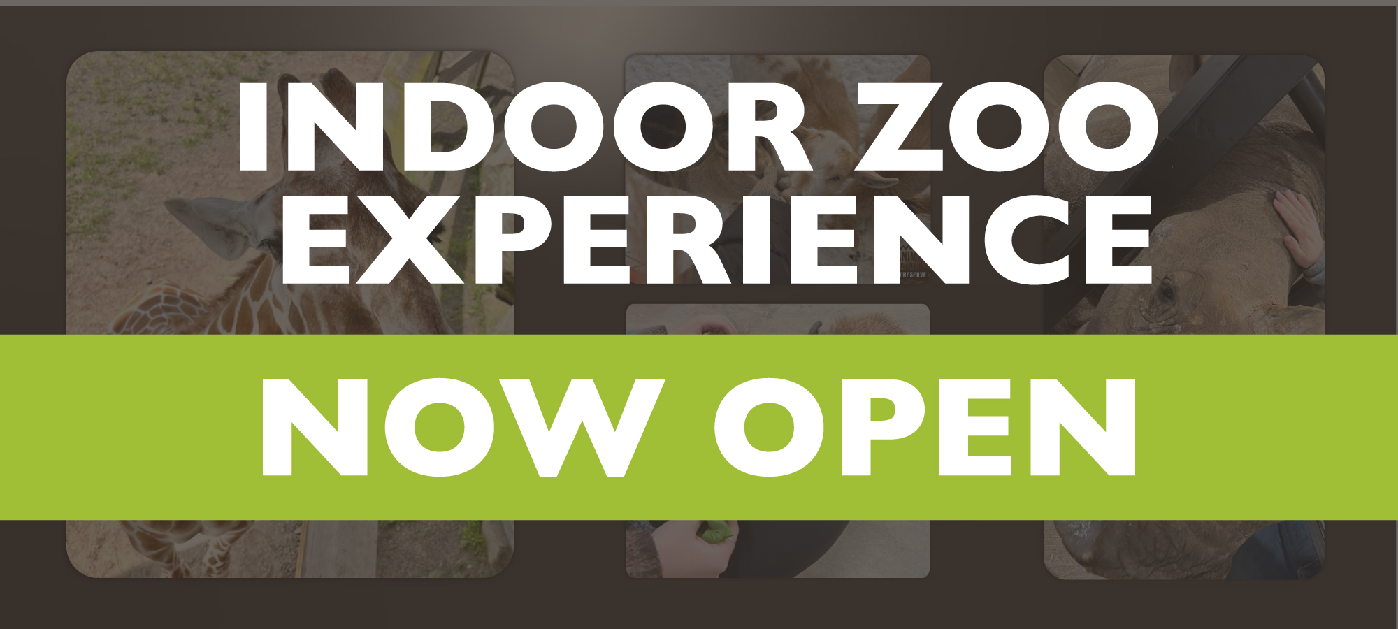 Indoor Zoo Experience - Now Open