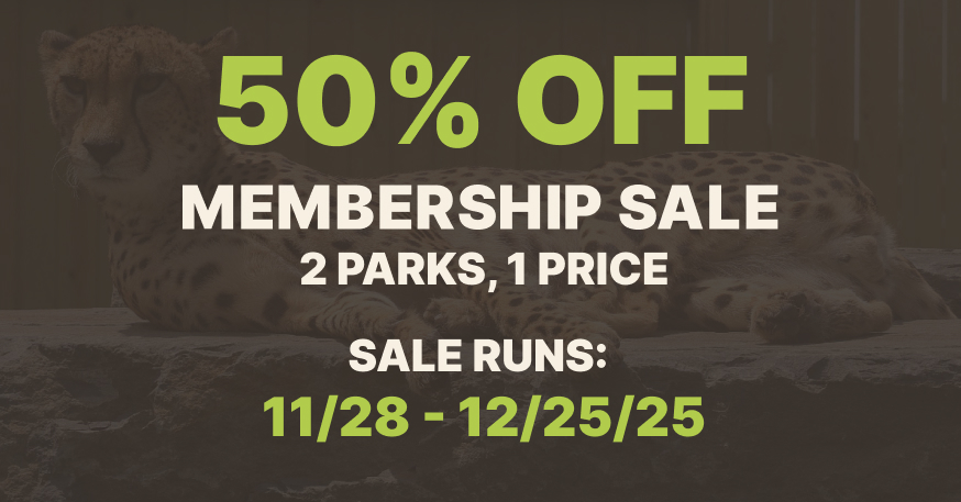 
50% Off
MEMBERSHIP SALE
2 Parks, 1 Price
SALE RUNS:
11/28 - 12/25/25
